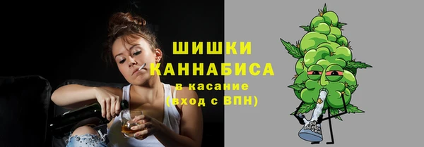 прущий лед Алзамай