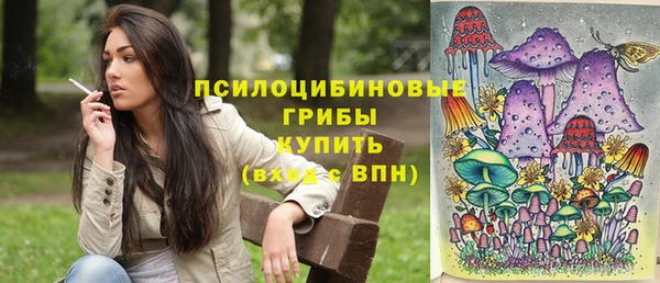 крисы Алексеевка
