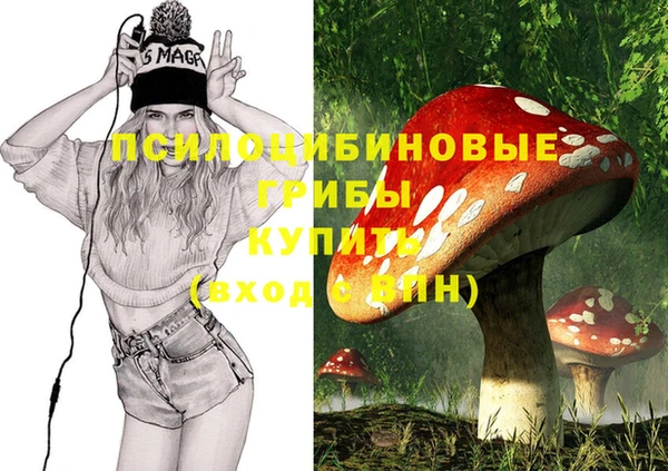 крисы Алексеевка