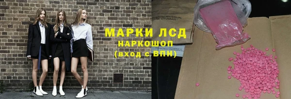 прущий лед Алзамай