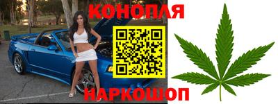 стафф Севастополь